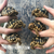 Baby Burmese Star Tortoise (March/April 2026 babies)