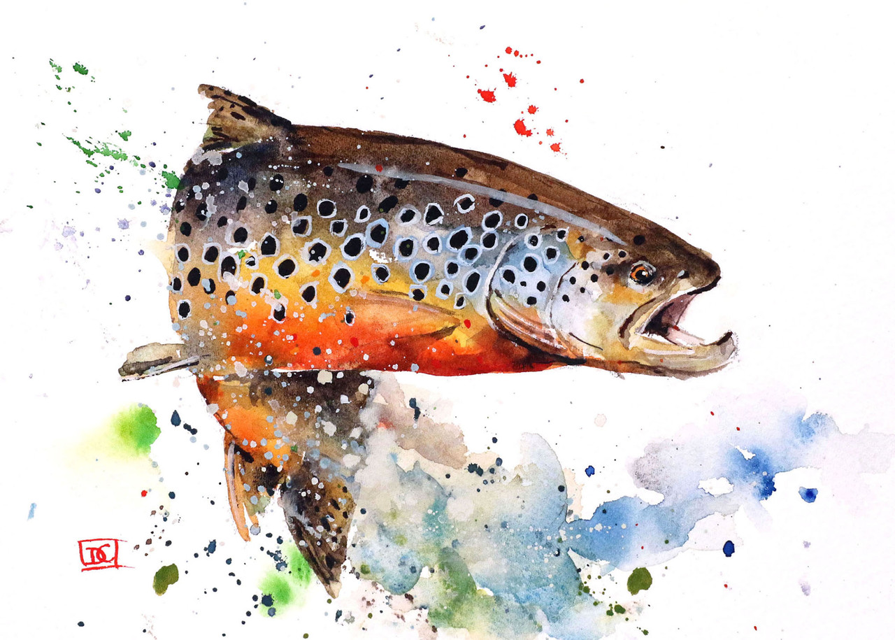 Trout Fishing Watercolor Print By Dean Crouser