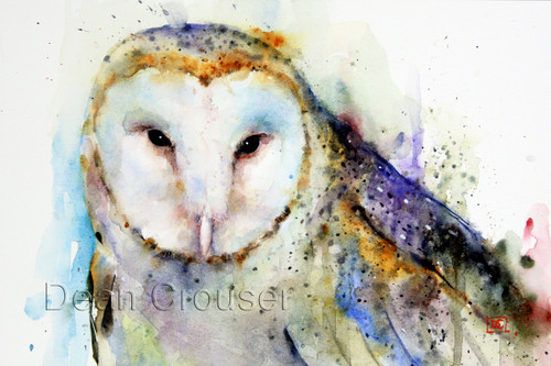 BARN OWL