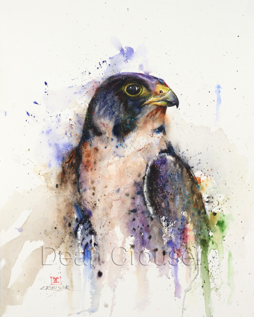 "PEREGRINE" limited edition signed and numbered falcon bird print from an original watercolor painting by Dean Crouser. Edition limited to 400 prints.