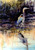 HERON HERON