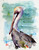 "PELICAN" bird art from an original watercolor painting by Dean Crouser. This image features one of Dean Crouser's loose and colorful pelicans resting near the water. Available in a variety of products including ceramic tiles and coasters, greeting cards, limited edition prints and more. L/E prints are signed and numbered by the artist and edition size limited to 400. Be sure to visit Dean's other hummingbird, bird, wildlife, and nature watercolor paintings. 