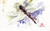"DRAGONFLY, Sketch"" original watercolor painting by Dean Crouser. This original painting measures approximately 9" wide by 5-1/2" tall. Here's a great opportunity to own a DC original! Artist retains any and all rights to future use of this image. Copyright Dean Crouser©