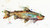 "ABSTRACT CUTTHROAT" original watercolor fish painting by Dean Crouser. This original painting measures approximately 6-1/2" tall by 11" wide. Here's a great opportunity to own a DC original! Artist retains any and all rights to future use of this image. Thanks for looking!