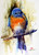 Set of eight (8) "EASTERN BLUEBIRD" 5 x 7" blank greeting cards featuring the wildlife watercolor art of Dean Crouser. Buy additional sets and save!

Each card measures 5 x 7", blank inside, white envelope included. Each card is packaged in protective clear flap-seal bag.

Dean's printing partner is both FSC (Forest Stewardship Council) and SFI (Sustainable Forest Management) certified. Made in U.S.A.

Copyright Dean Crouser©

Thanks for looking!