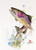 "JUMPING RAINBOW" original watercolor trout painting. This original painting measures approximately 7-1/2" wide by 10-1/2" tall. Professionally packaged for safe shipping. Artist retains any and all rights to future use of this image. Thanks for looking!