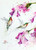 "HUMMINGBIRDS & FLORAL" 5 x 7" greeting card featuring the watercolor art of Dean Crouser. Blank inside, white envelope included. Individually packaged in protective clear flap-sealed bag. Cards sold in multiples of six (6). Quantity discounts.