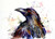 Set of six (6) 'TROUBLE'' 5 x 7" blank greeting cards featuring the watercolor raven art of Dean Crouser. Buy additional sets and save!

Each card measures 5 x 7", blank inside, white envelope included. Each card is packaged in protective clear flap-seal bag.

Dean's printing partner is both FSC (Forest Stewardship Council) and SFI (Sustainable Forest Management) certified. These organizations promote responsible and sustainable management of forests.

Copyright Dean Crouser©

Thanks for looking!