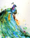 This print depicts a Peacock whose feathers flow in a river of vibrant color from blue and green to violet and gold.  All of Dean's wildlife and nature watercolor paintings strive to capture the essence the subject whether it is a fish, bird or animal. His unique style aims to depict a subject in a way the viewer has never seen before in a watercolor painting.
