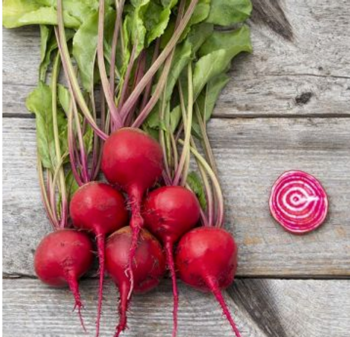 2024 SEEDS, BEETS, GUARDSMARK CHIOGGIA, High Mowing Organic Seeds