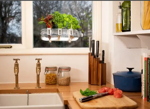 GARDEN BOTTLE  KIT, DIY with any plastic bottle, Bottle Farm - 1 kit *SA:E* Reg. $28