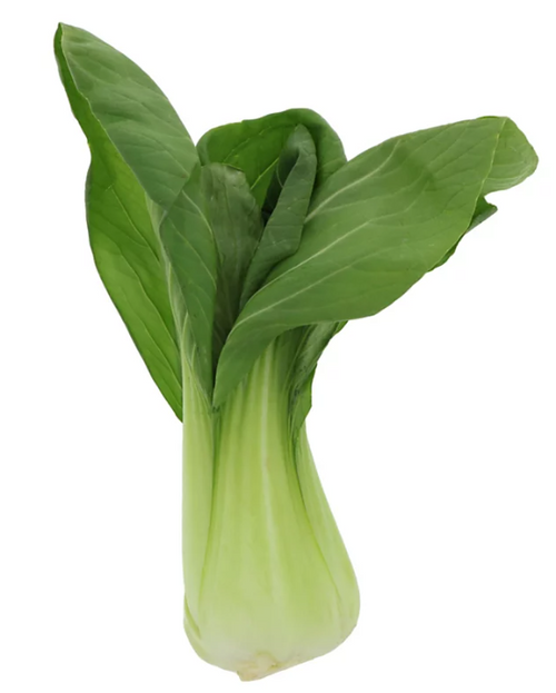 BOK CHOY, FRESH  ORGANIC  -   7 oz or 9 oz