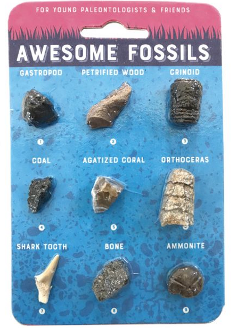 AWESOME FOSSILS- Copernicus *SALE* Reg. $6.00