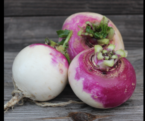 TURNIPS, PURPLE TOP, ORGANIC -  3 count (about 11 oz)