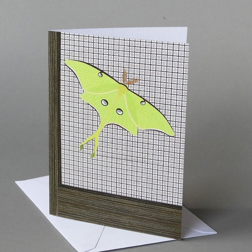 CARD, luna moth,  Carve Designs