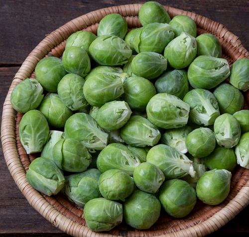 2023 SEEDS, BRUSSELS SPROUTS, NAUTIC, ORGANIC High Mowing Organic Seeds