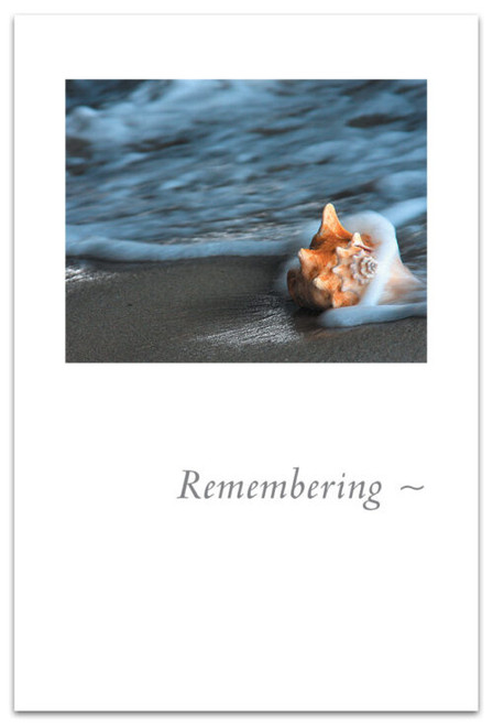 CARD, CONDOLENCE, SEASHELL ON SHORE