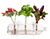 GARDEN BOTTLE  KIT, DIY with any plastic bottle, Bottle Farm - 1 kit *SA:E* Reg. $28