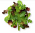 Mixed Greens - Spring Mix, Organic,  1/3 lb