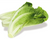 LETTUCE, ROMAINE, Organic – 3 pack (About 1 lb total)