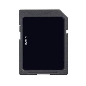 LABEL-SD-32MB-KO GigaRam 32MB 9-Pin SD Flash Memory Card with Elite Pro Label