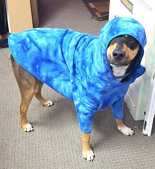 Hound hoodie Clearance