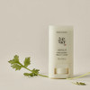 MATTE SUN STICK : MUGWORT + CAMELIA SPF50+ PA++++