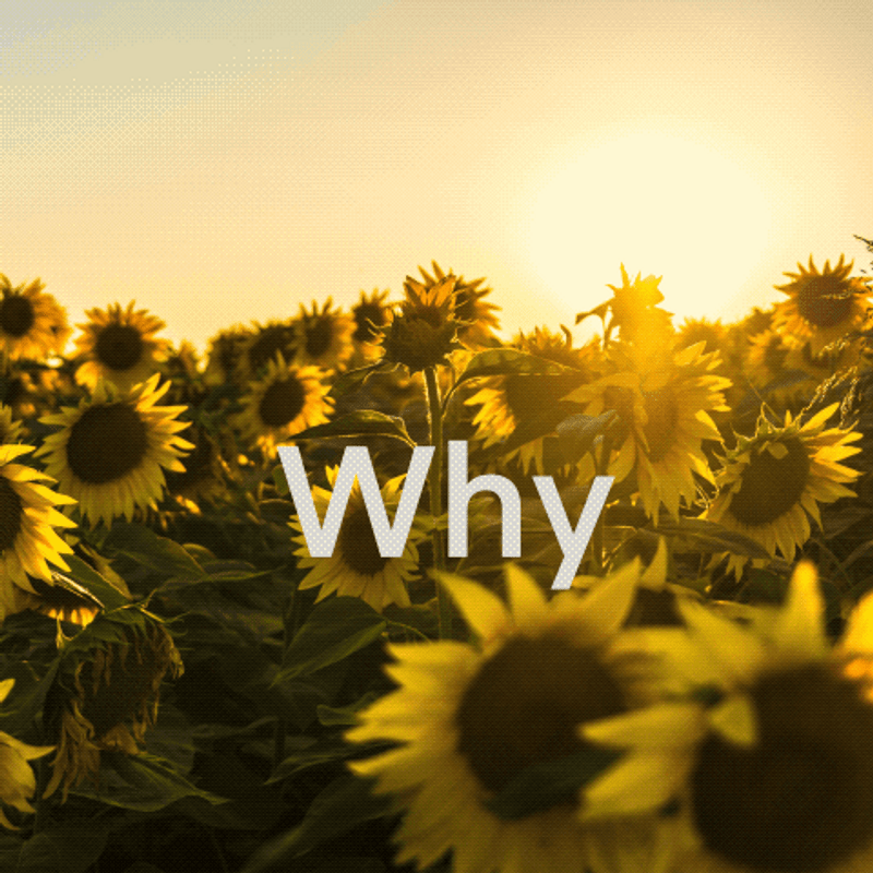 Understanding The Labels on Your Sunscreens!