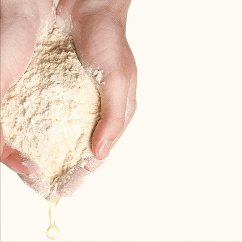 GALACTOMYCES SKIN BENEFITS