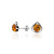 Stud Earrings with Cognac Color Baltic Amber  in Sterling Silver