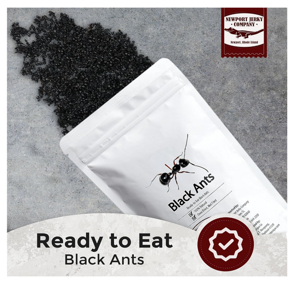 Newport Jerky Company Edible Insects Black Ants