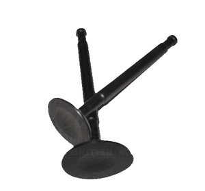 Rover Big Valves Intake & Exhaust Rover Big Valves Intake & Exhaust