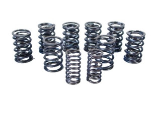 Valve Spring Set Dual MGA MGB,VS637K