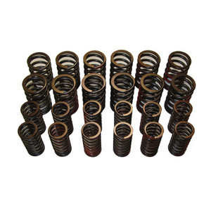 Valve Spring Set Dual MGA, MGB to 1971