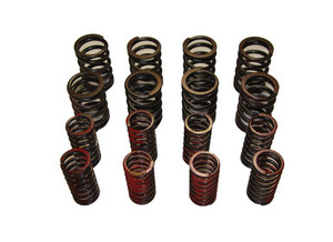 Valve Spring Set 948 thru 1098