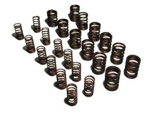Valve Spring Set Dual Triumph TR250, TR6, GT6