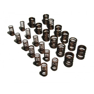 Valve Spring Set High Lift TR6, WSVS703AK