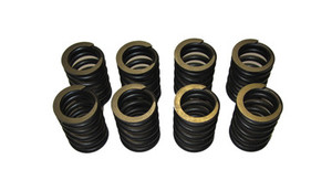 Valve Spring Set TR7