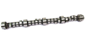 Camshaft ERR5250 For 4.6 Liter Range Rover P38, 1995 - 2002, And Land Rover Discovery Series II, 2003 - 2004 (ERR5250)