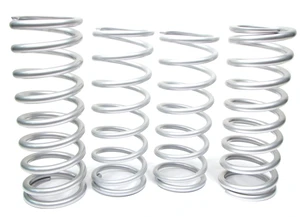 Terrafirma Coil Spring Kit, Heavy Duty, For Land Rover Discovery Series II