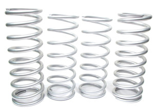 Terrafirma Coil Spring Kit, Heavy Duty, For Land Rover Discovery Series II