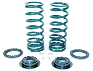 Rear Air Suspension Conversion Kit, EAS To Coil Springs, For Land Rover Discovery Series II