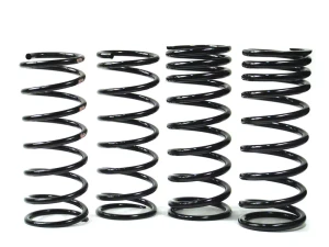 Front And Rear Suspension Coil Spring Kit, Two Each REB101330 And RKB101100 Springs, For Land Rover Discovery Series II