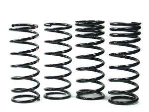 Front And Rear Coil Spring Kit For Land Rover Discovery Series II (8766) Front And Rear Coil Spring Kit For Land Rover Discovery Series II (8766)