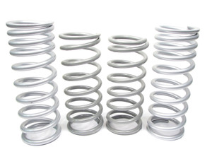 Suspension Coil Spring Kit, Medium Duty By Terrafirma, For Land Rover Discovery Series II