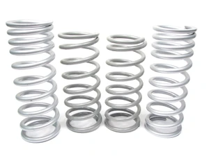Suspension Coil Spring Kit, Medium Duty By Terrafirma, For Land Rover Discovery Series II