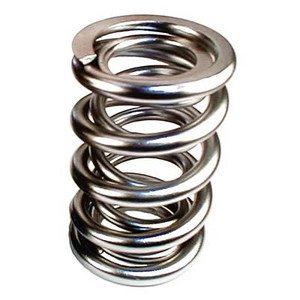 Valve Springs for Roller Lifter Rover V8 Cam (WSRCVS1)