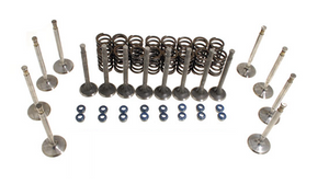 Rover V8 Valves, Springs, and Guides Kit - All Engines, RB8186RBK, ERC9088A, LGH000040P, UKC8137, ERR1782P Rover V8 Valves, Springs, and Guides Kit - All Engines, RB8186RBK, ERC9088A, LGH000040P, UKC8137, ERR1782P