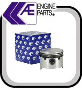 Piston 040 TR250 TR6 AE Nüral (6 Required)