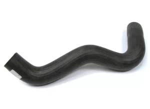 Hose - Radiator Bottom